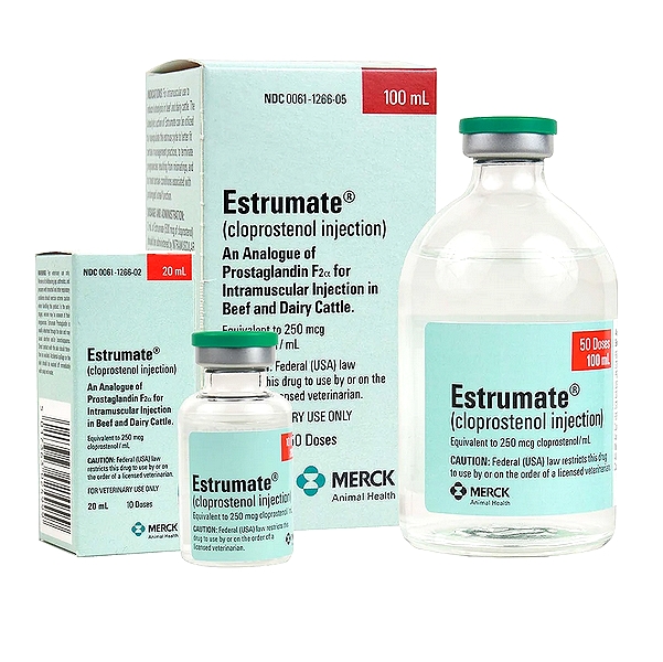 Cloprostenol Injection
