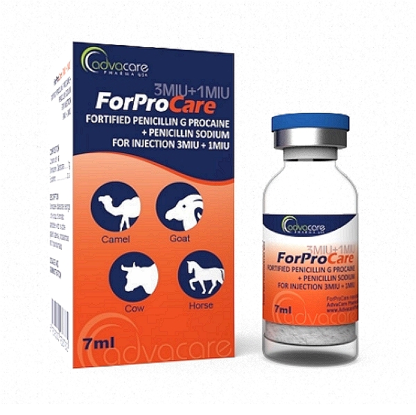Penicillin + Procaine Injection