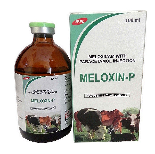 Meloxicam & Paracetamol Injection