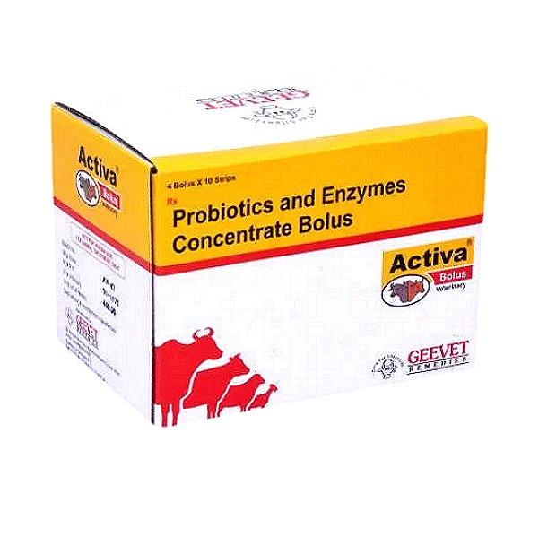 Probiotic & Live Yeast Culture Bolus