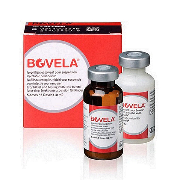 Bovine Viral Diarrhea Vaccine