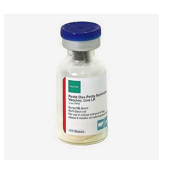 PPR Vaccine – Sungri/96