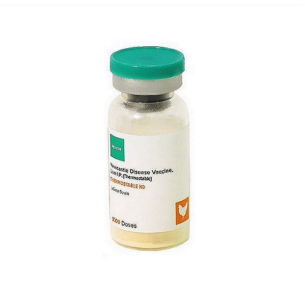 Thermostable ND Vaccine