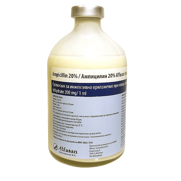 Ampicillin