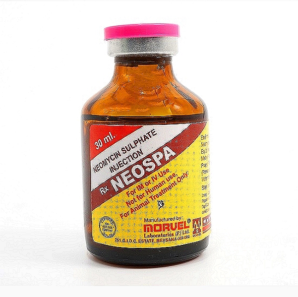 Neomycin Injection