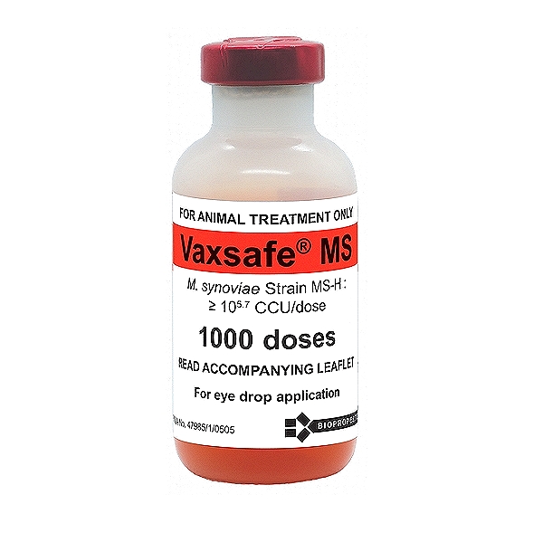 Mycoplasma Synoviae Vaccine
