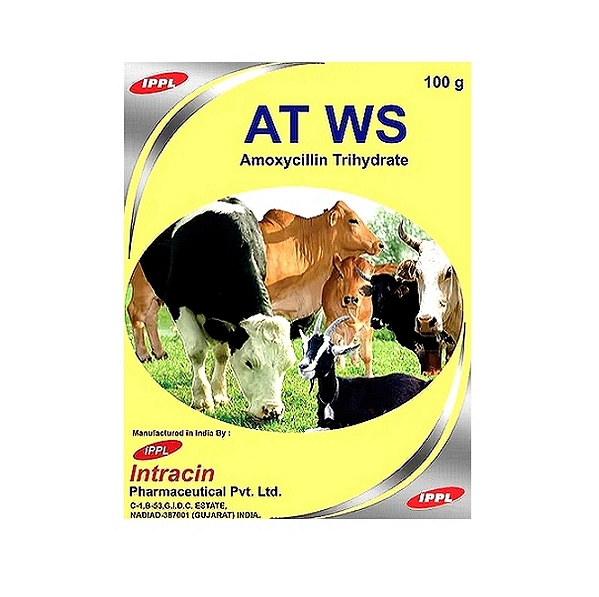 AT WS - Amoxycillin Oral Powder - 100 g & 1000 g