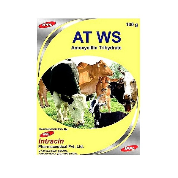 AT WS - Amoxycillin Oral Powder