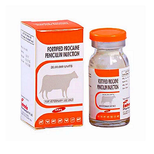 FPPI 20% - Fortified Procaine Penicillin 20%