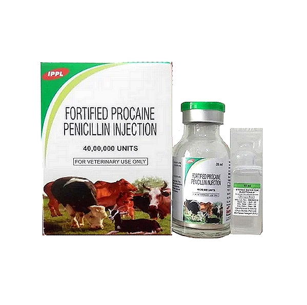 FPPI 40% - Fortified Procaine Penicillin 40%