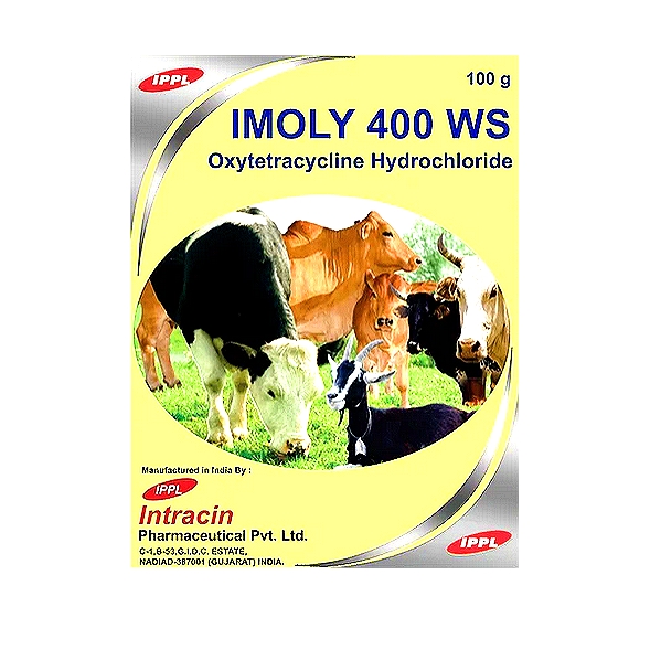 IMOLY 400 WS - Oxytetracycline Oral Powder - 100 g, 500 g & 1000 g