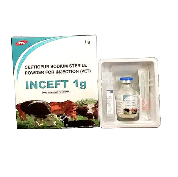 INCEFT 1g - Ceftiofur Injection 1 g