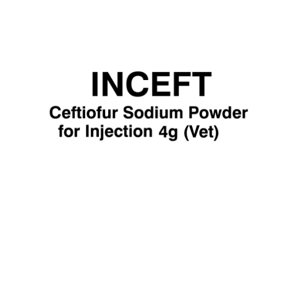 INCEFT 4g - Ceftiofur Injection 4 g