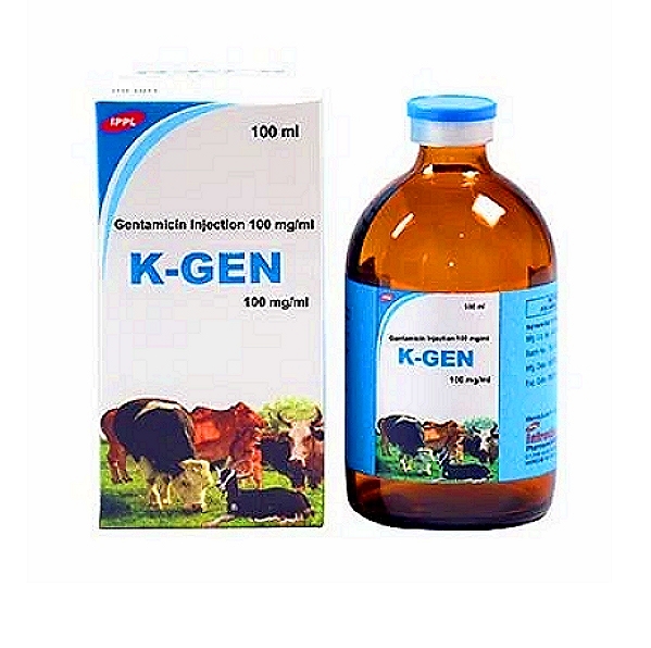 K-GEN - Gentamicin Injection BP