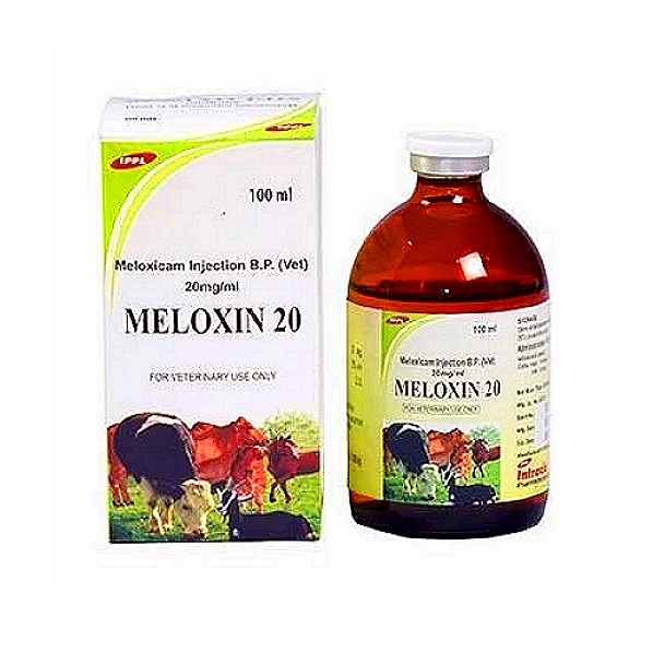 MELOXIN-20 - Meloxicam Injection 20 mg/ml
