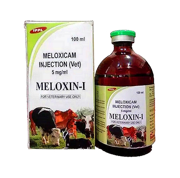 MELOXIN-I - Meloxicam Injection 5 mg/ml - 15 mL, 30 mL & 100 mL