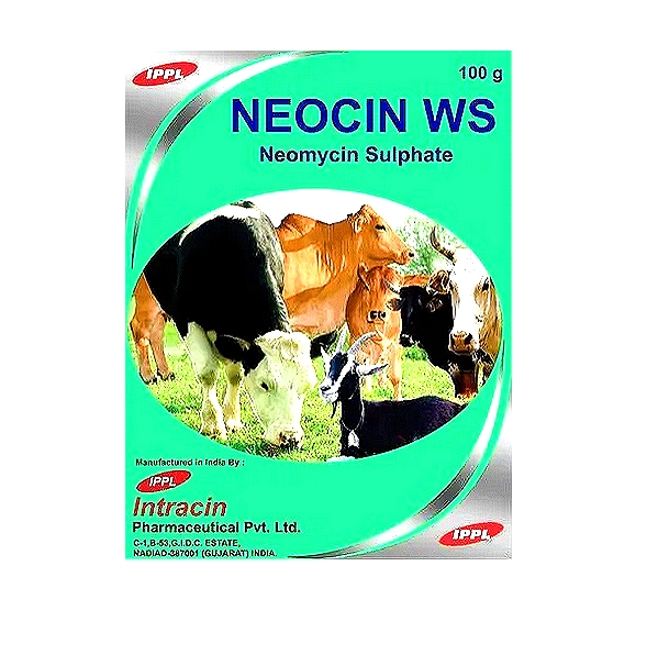 NEOCIN WS - Neomycin Sulphate Oral Powder
