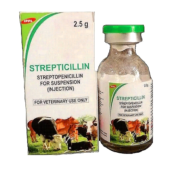 STREPTICILLIN 2.5g - Procaine Penicillin G + Streptomycin sulfate Injection