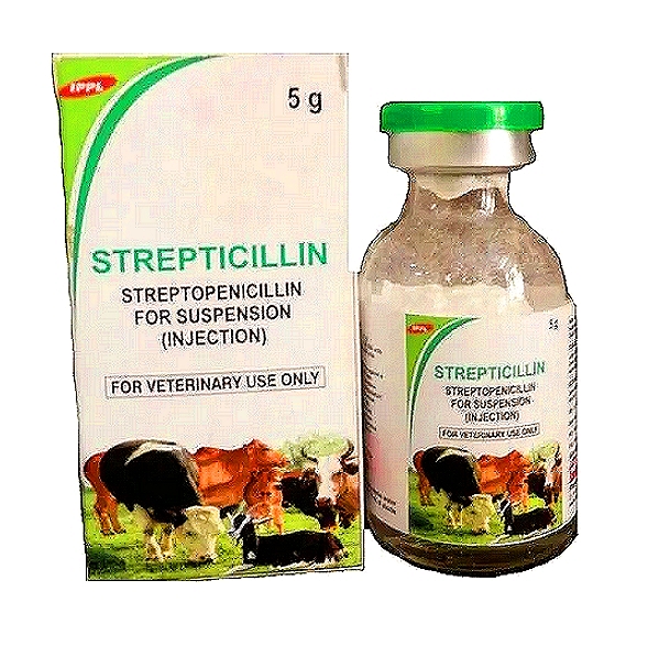 STREPTICILLIN 5g - Procaine Penicillin G + Streptomycin sulfate Injection