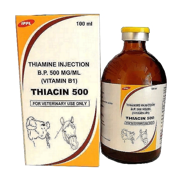 THIACIN 500 - Vitamin B1 & B6 Injection