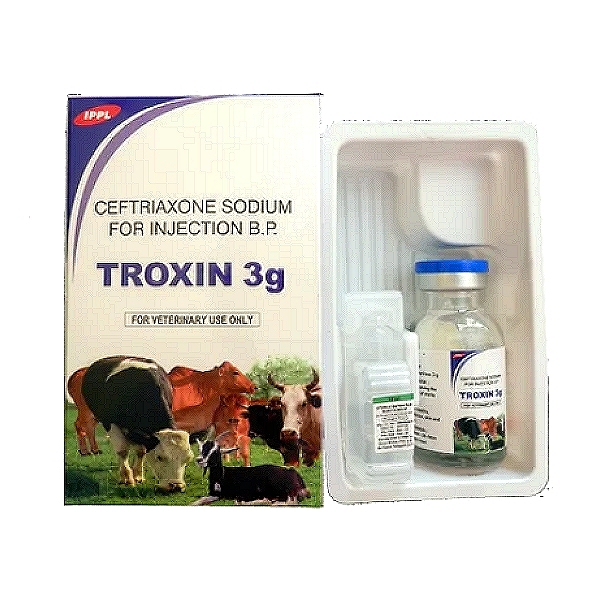 TROXIN 3g - Ceftriaxone Sodium Powder for Injection